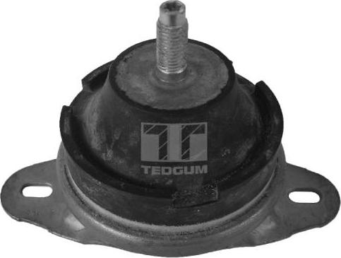 Tedgum 00514176 - Подушка, опора, подвеска двигателя www.autospares.lv