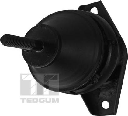 Tedgum 00600036 - Piekare, Dzinējs www.autospares.lv