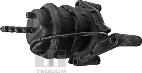 Tedgum 00617593 - Piekare, Dzinējs www.autospares.lv