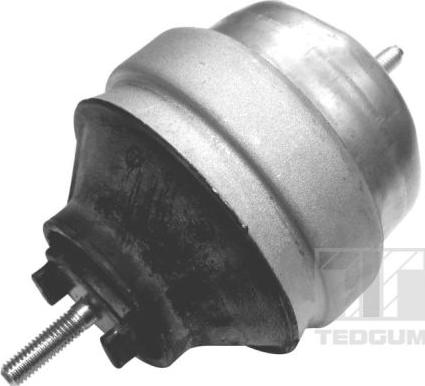 Tedgum 00056418 - Piekare, Dzinējs www.autospares.lv