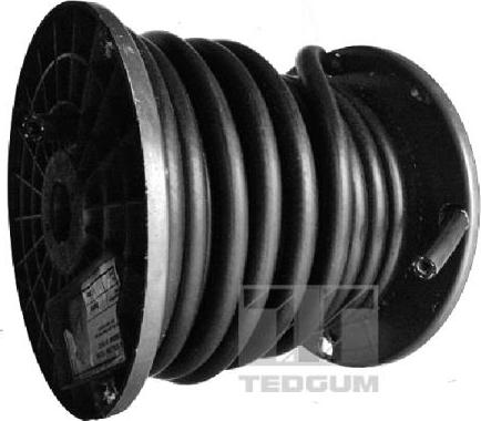 Tedgum 00814524 - Degvielas šļūtene www.autospares.lv