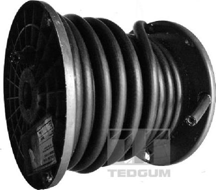 Tedgum 00816680 - Degvielas šļūtene www.autospares.lv