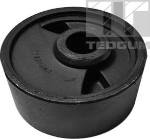 Tedgum 00396940 - Piekare, Dzinējs www.autospares.lv