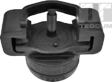 Tedgum 00396686 - Piekare, Dzinējs www.autospares.lv