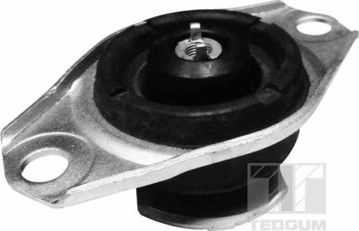 Tedgum 00215996 - Piekare, Dzinējs www.autospares.lv