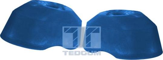 Tedgum 00289205 - Piekare, Dzinējs www.autospares.lv