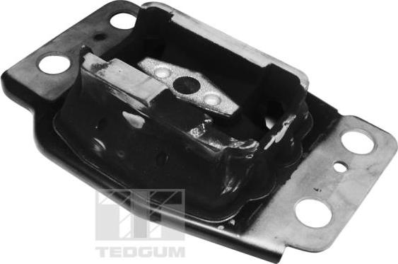 Tedgum 00225660 - Piekare, Dzinējs www.autospares.lv