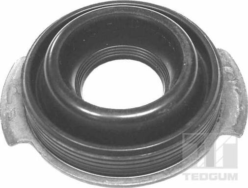 Tedgum 00225096 - Blīve, Sprauslas kanāls www.autospares.lv