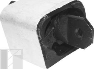 Tedgum TED99764 - Holder, engine mounting www.autospares.lv