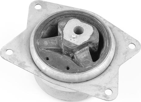 Tedgum TED95962 - Piekare, Dzinējs www.autospares.lv