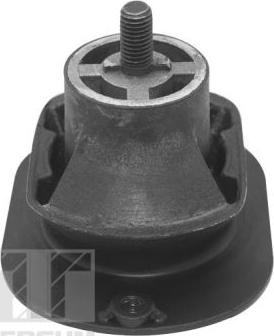 Tedgum TED40521 - Piekare, Dzinējs www.autospares.lv