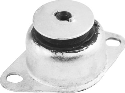 Tedgum TED47058 - Piekare, Dzinējs www.autospares.lv