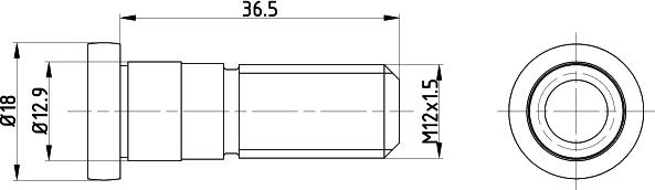 Textar TPM0019 - Skrūve, Bremžu disks www.autospares.lv