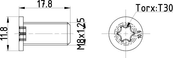 Textar TPM0013 - Skrūve, Bremžu disks www.autospares.lv