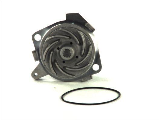 Thermotec D1D019TT - Ūdenssūknis www.autospares.lv