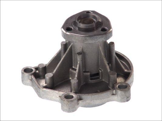 Thermotec D1W046TT - Ūdenssūknis www.autospares.lv