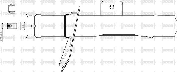 TOOR SG11661 - Amortizators autospares.lv