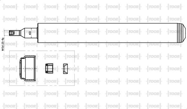 TOOR SG11280 - Amortizators autospares.lv