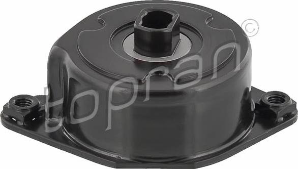 Topran 501 688 - Натяжитель, поликлиновый ремень www.autospares.lv