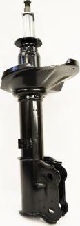 TQ 113986 - Shock Absorber www.autospares.lv