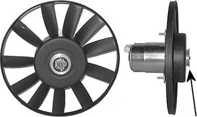 TQ TQ-5880745 - Ventilators, Motora dzesēšanas sistēma autospares.lv