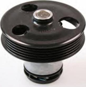 Tradex France TPE-V165 - Water Pump www.autospares.lv