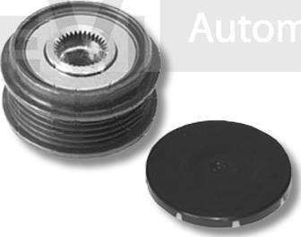 Trevi Automotive AP1063 - Pulley, alternator, freewheel clutch www.autospares.lv