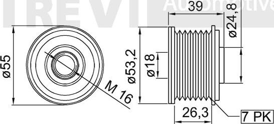 Trevi Automotive AP1116 - Pulley, alternator, freewheel clutch www.autospares.lv