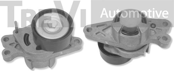 Trevi Automotive TA1694 - Belt Tensioner, v-ribbed belt www.autospares.lv