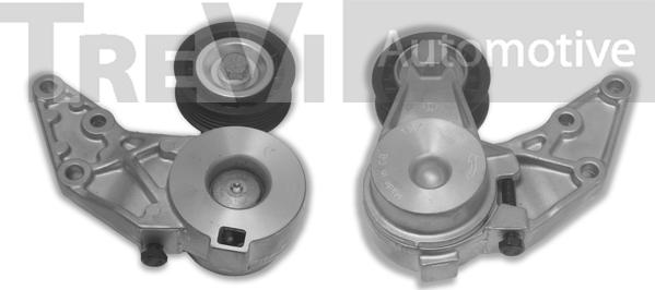 Trevi Automotive TA1609 - Pulley, v-ribbed belt www.autospares.lv