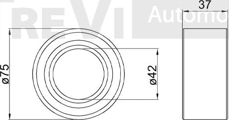 Trevi Automotive WB1149 - Riteņa rumbas gultņa komplekts autospares.lv