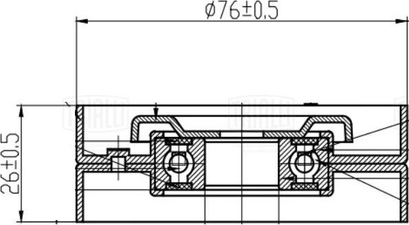 Trialli CM 5409 - Натяжитель, поликлиновый ремень www.autospares.lv