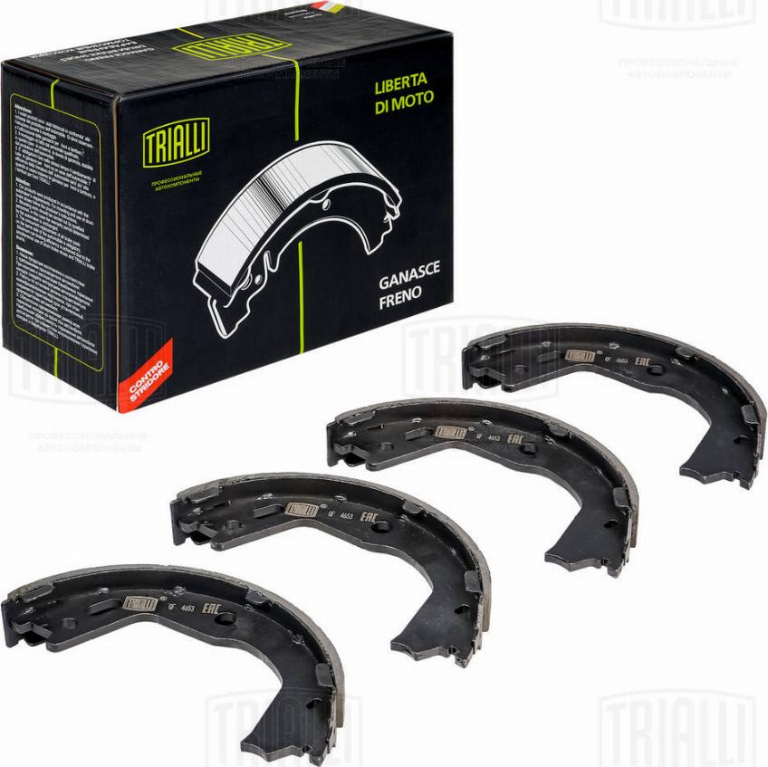 Trialli GF 4653 - Brake Shoe Set, parking brake www.autospares.lv