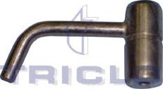 Triclo 415876 - Eļļas sprausla, Virzuļa dzesēšana www.autospares.lv