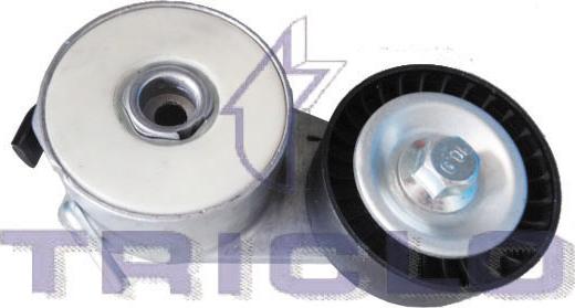 Triclo 424408 - Натяжитель, поликлиновый ремень www.autospares.lv