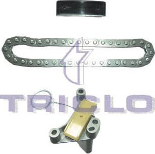 Triclo 421250 - Sadales vārpstas piedziņas ķēdes komplekts www.autospares.lv