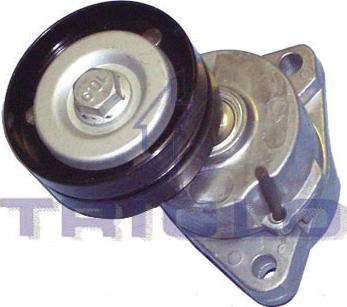 Triclo 428499 - Belt Tensioner, v-ribbed belt www.autospares.lv