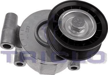 Triclo 428695 - Belt Tensioner, v-ribbed belt www.autospares.lv