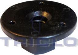 Triclo 164818 - Moldings / aizsarguzlika www.autospares.lv