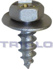 Triclo 161850 - Skrūve www.autospares.lv