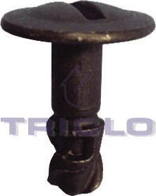 Triclo 161707 - Skrūve www.autospares.lv