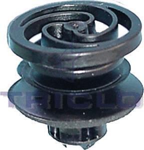 Triclo 162946 - Moldings / aizsarguzlika www.autospares.lv