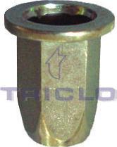 Triclo 162439 - Moldings / aizsarguzlika www.autospares.lv