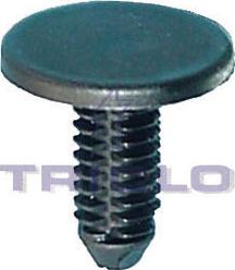 Triclo 162806 - Moldings / aizsarguzlika www.autospares.lv