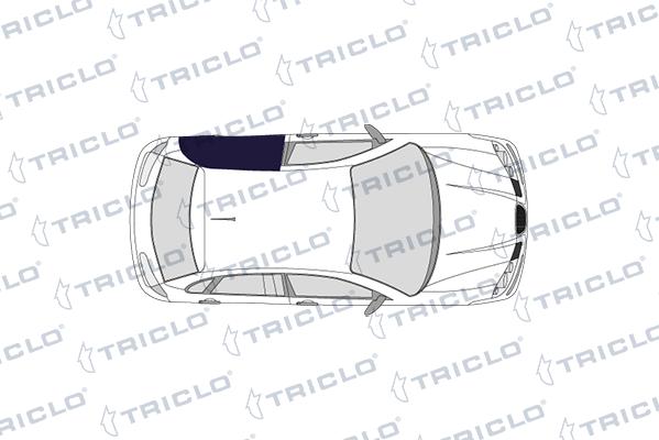 Triclo 128487 - Durvju rokturis www.autospares.lv