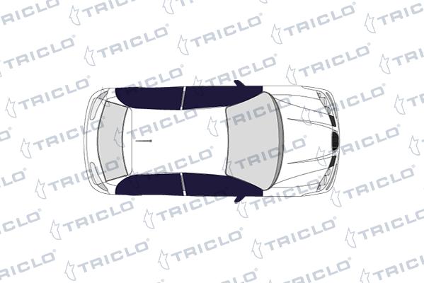 Triclo 135058 - Regulēšanas elements, Centrālā atslēga www.autospares.lv