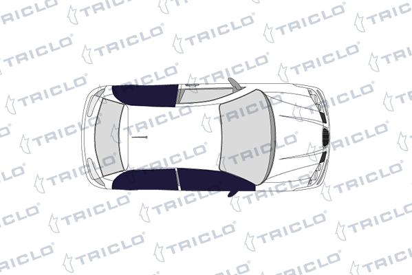 Triclo 121334 - Durvju rokturis www.autospares.lv