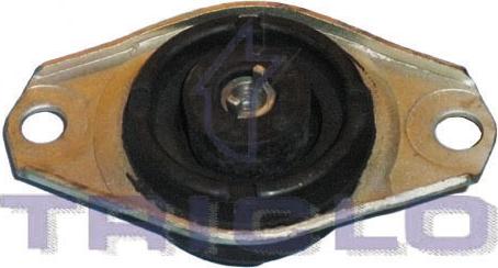 Triclo 364611 - Piekare, Dzinējs www.autospares.lv