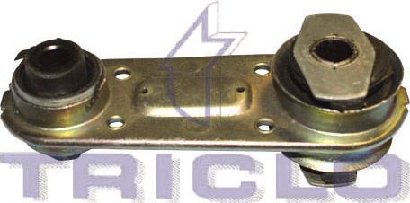 Triclo 365479 - Piekare, Dzinējs www.autospares.lv