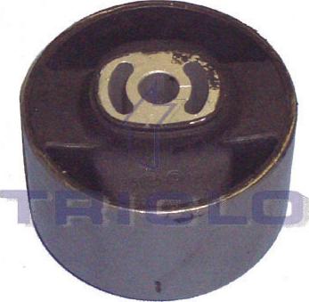 Triclo 361605 - Piekare, Dzinējs www.autospares.lv